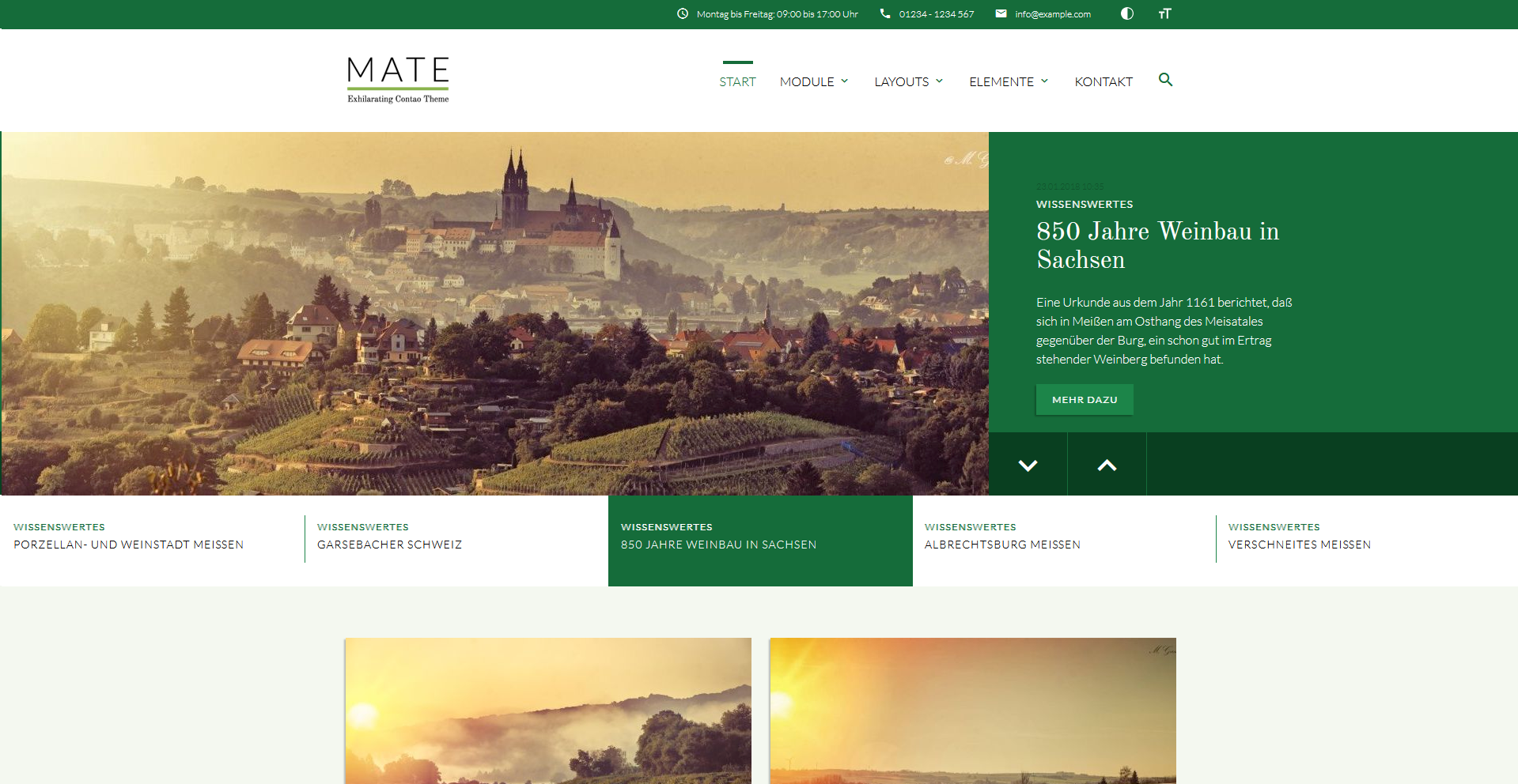 Contao-Theme MATE
