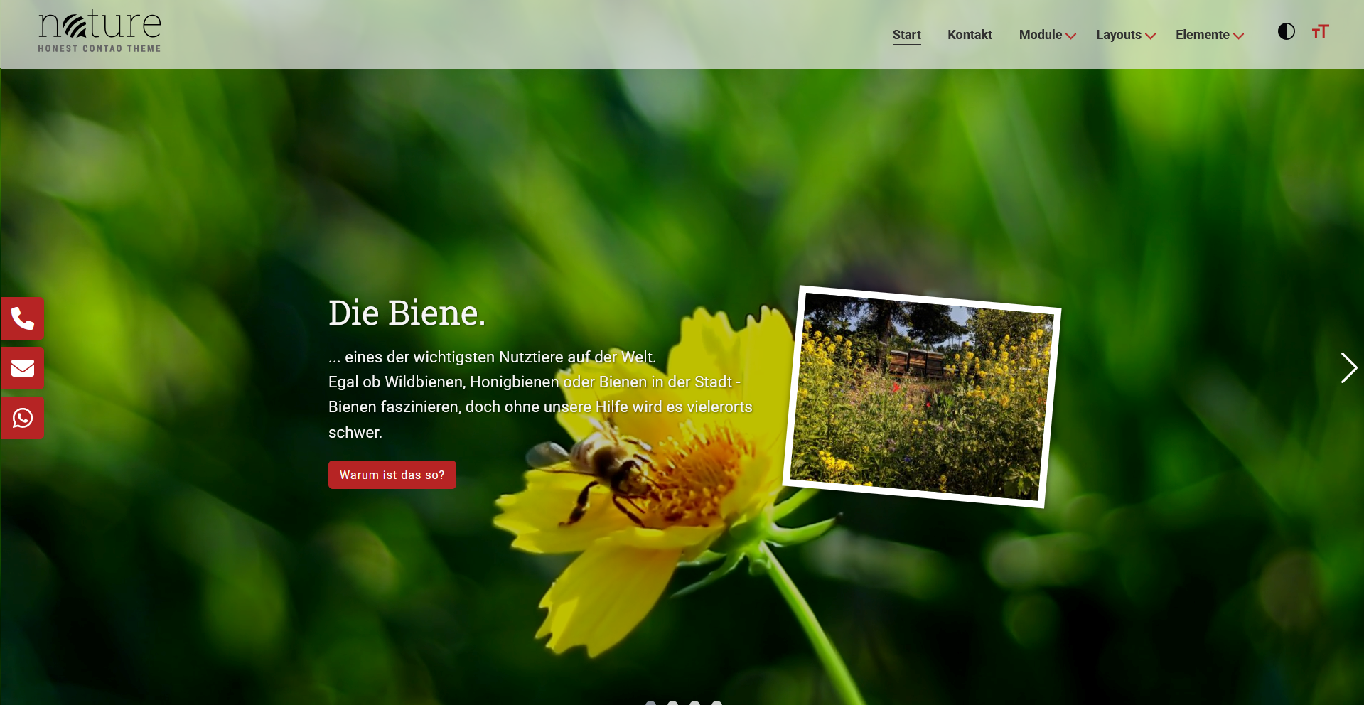 Contao-Theme NATURE